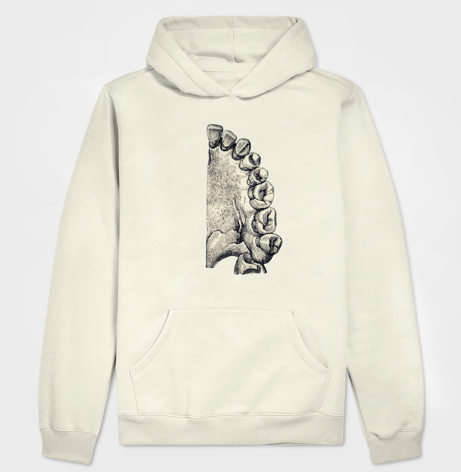 Camisa The Anatomist's Sketch