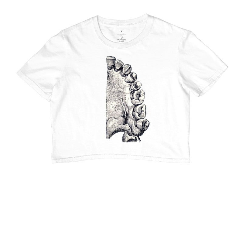Camisa The Anatomist's Sketch