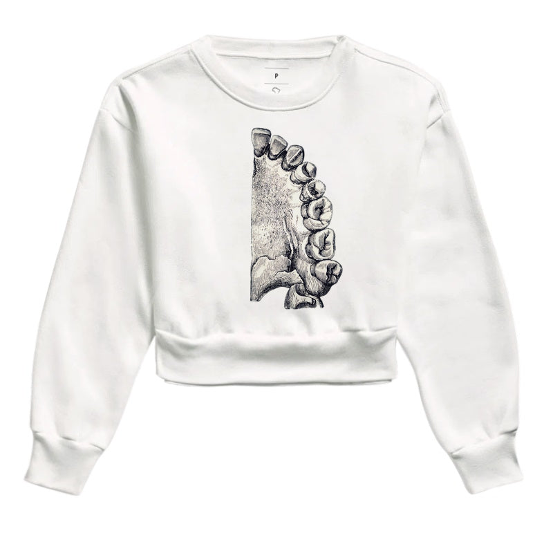 Camisa The Anatomist's Sketch