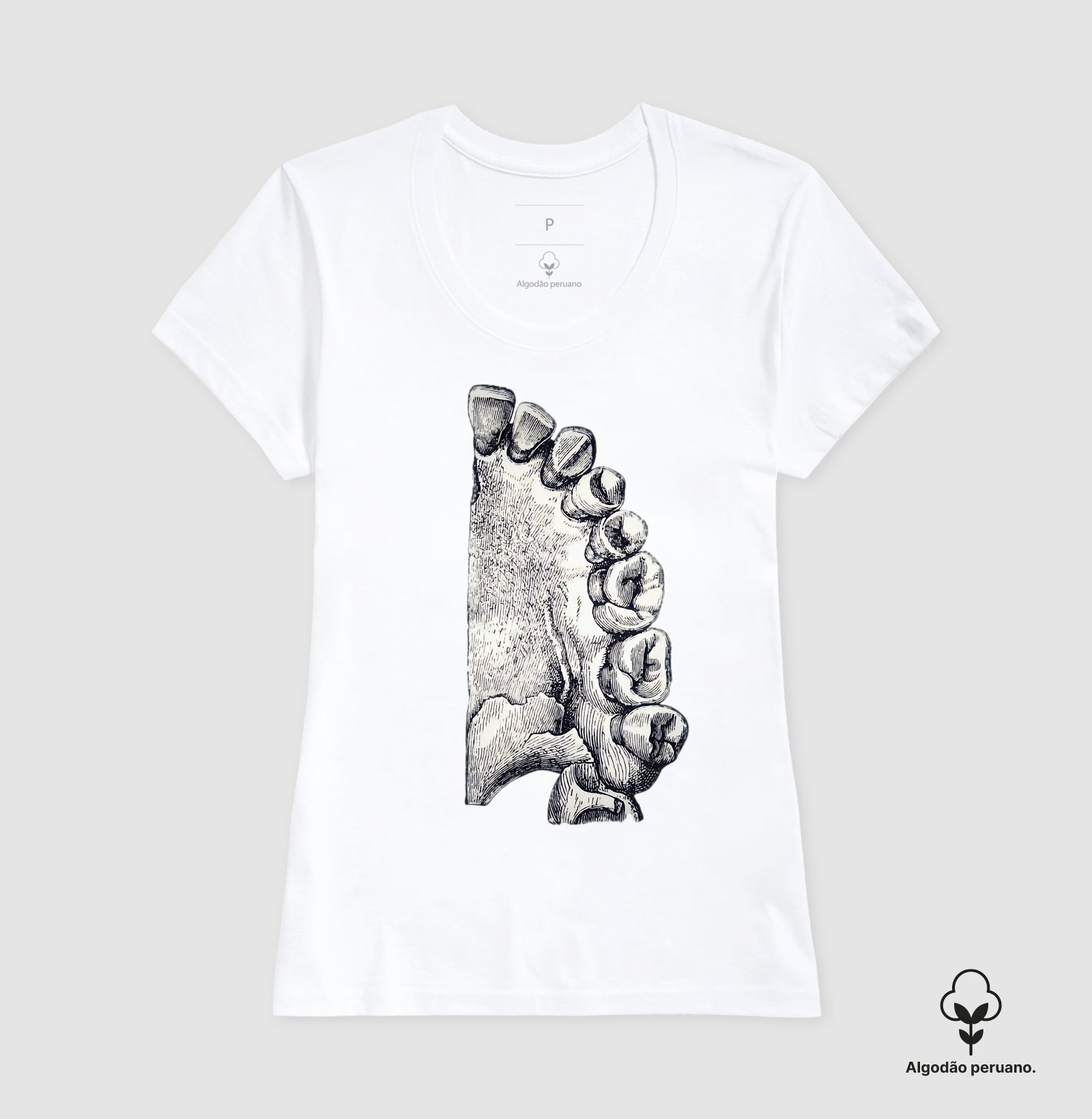 Camisa The Anatomist's Sketch