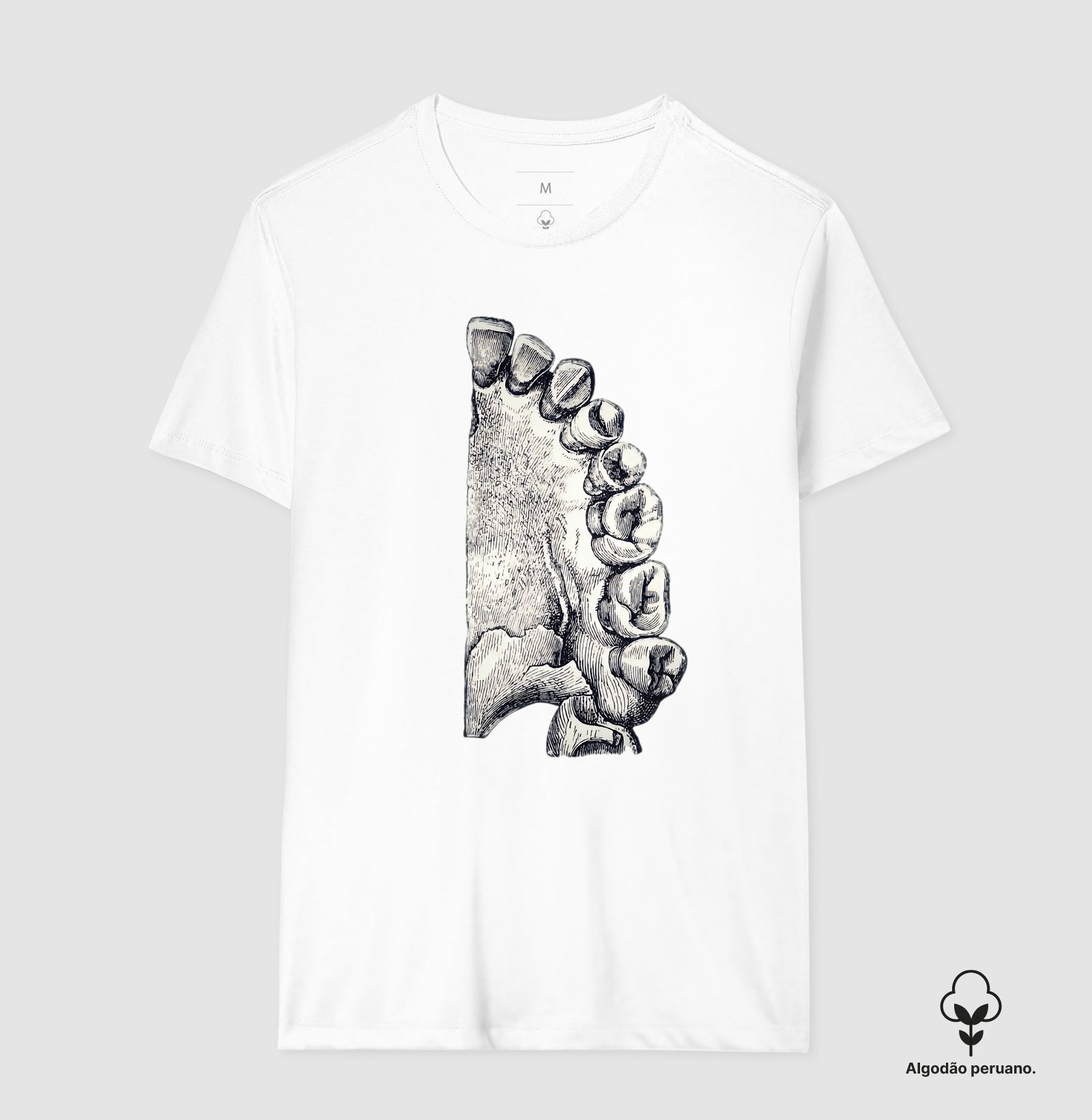 Camisa The Anatomist's Sketch